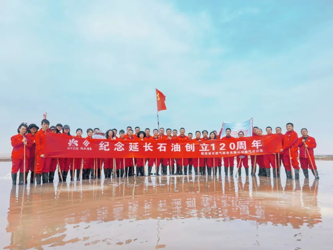 五四团委3.jpg