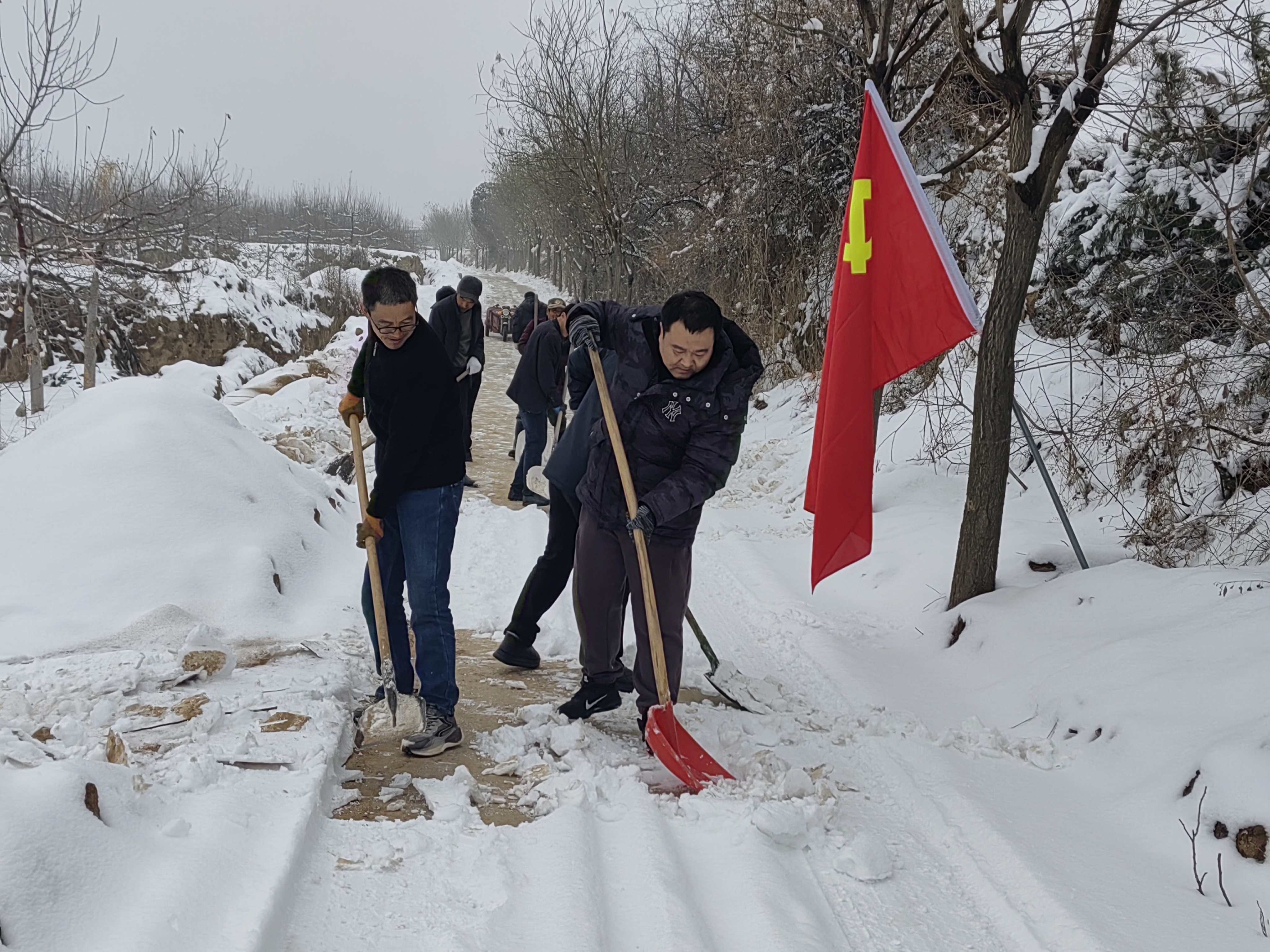 3.韩启元组织尧科村党员帮助老乡清理果园积雪_副本.jpg