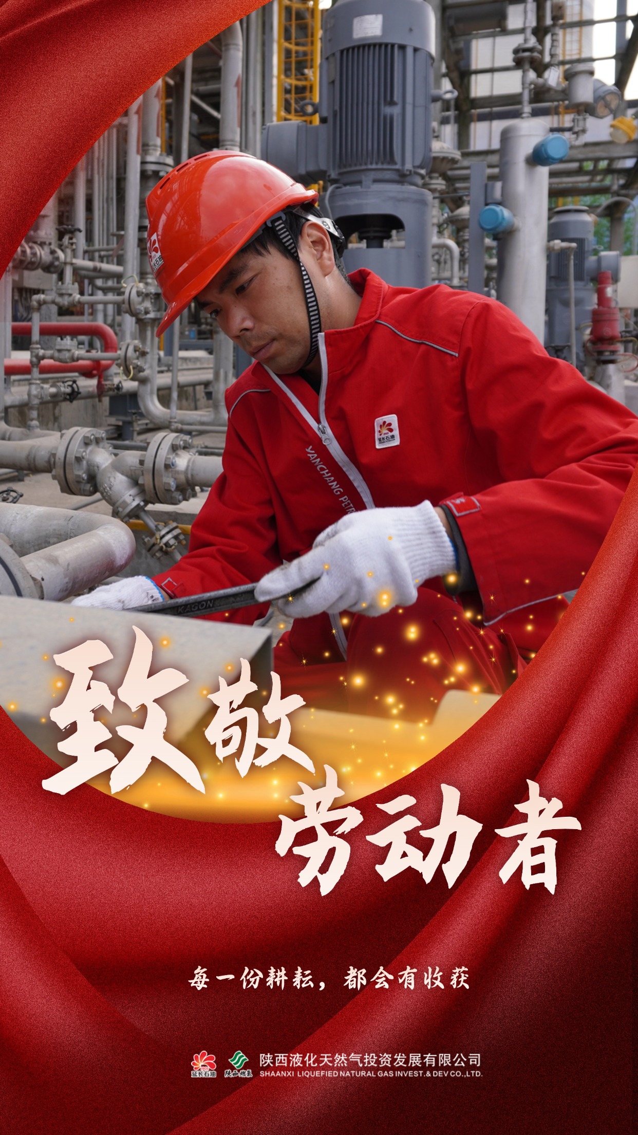 楊明明 .jpg
