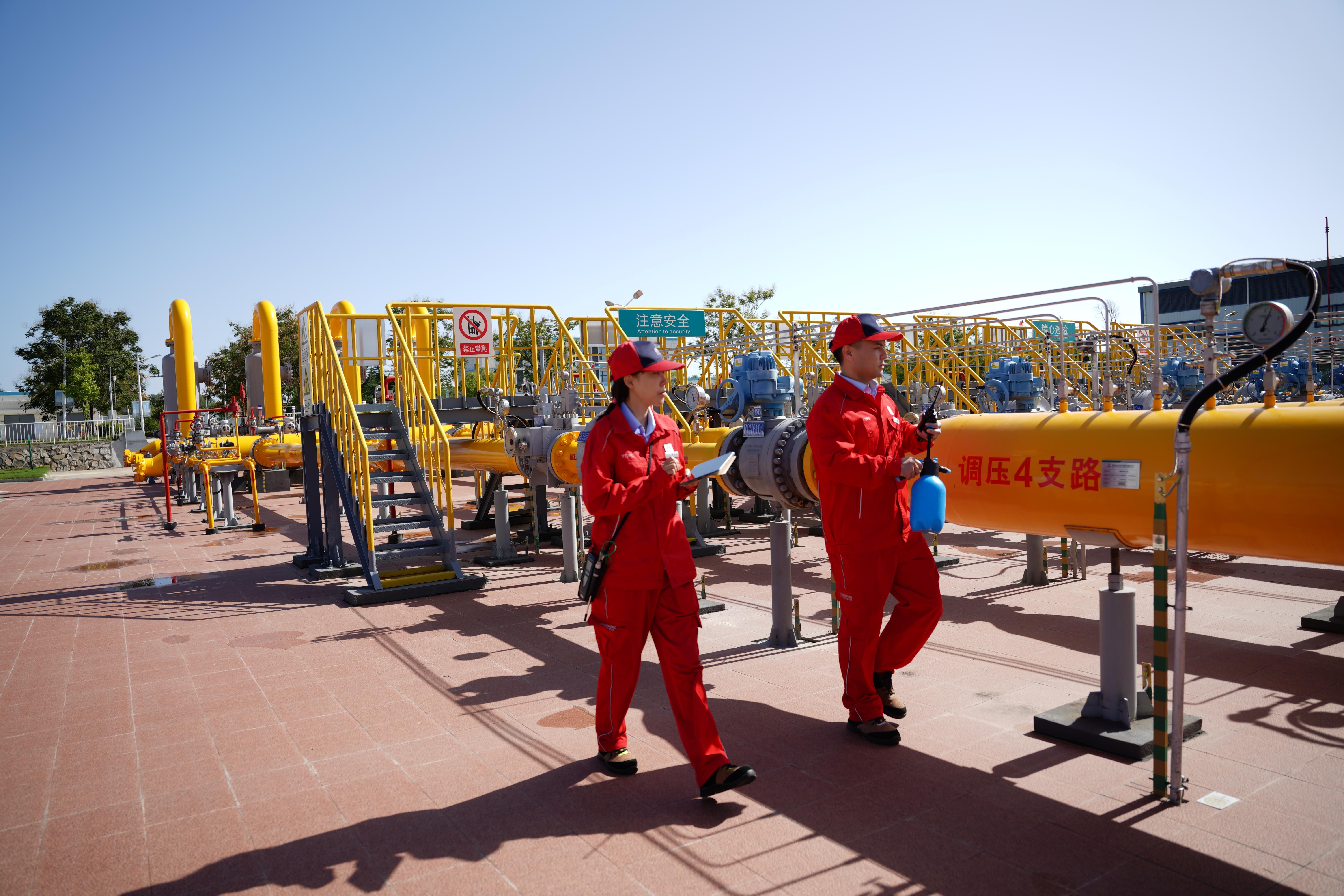 3  股份巡檢_副本.jpg