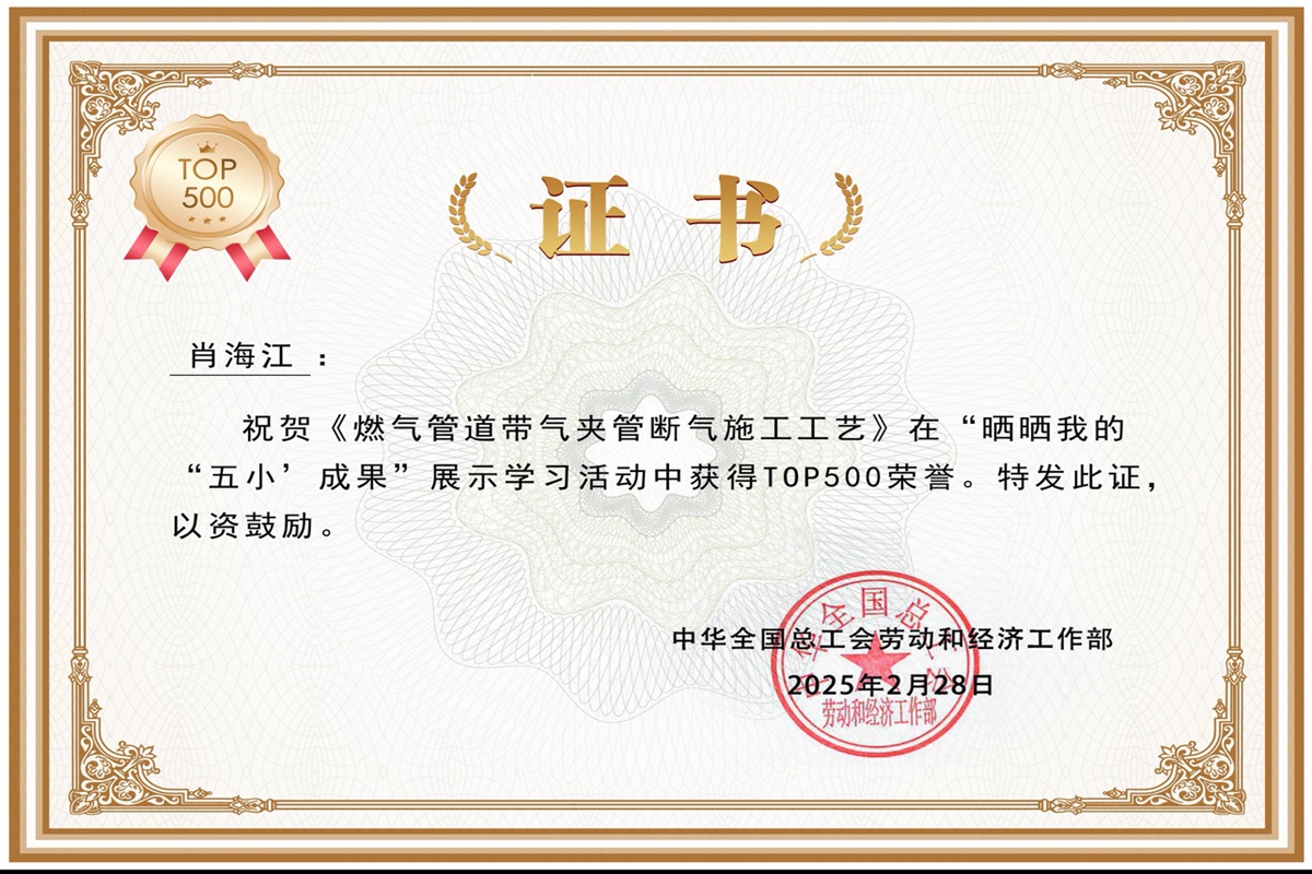 肖海江-五小成果TOP500證書.jpg